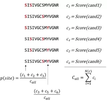 PTM localization probability Algorithm